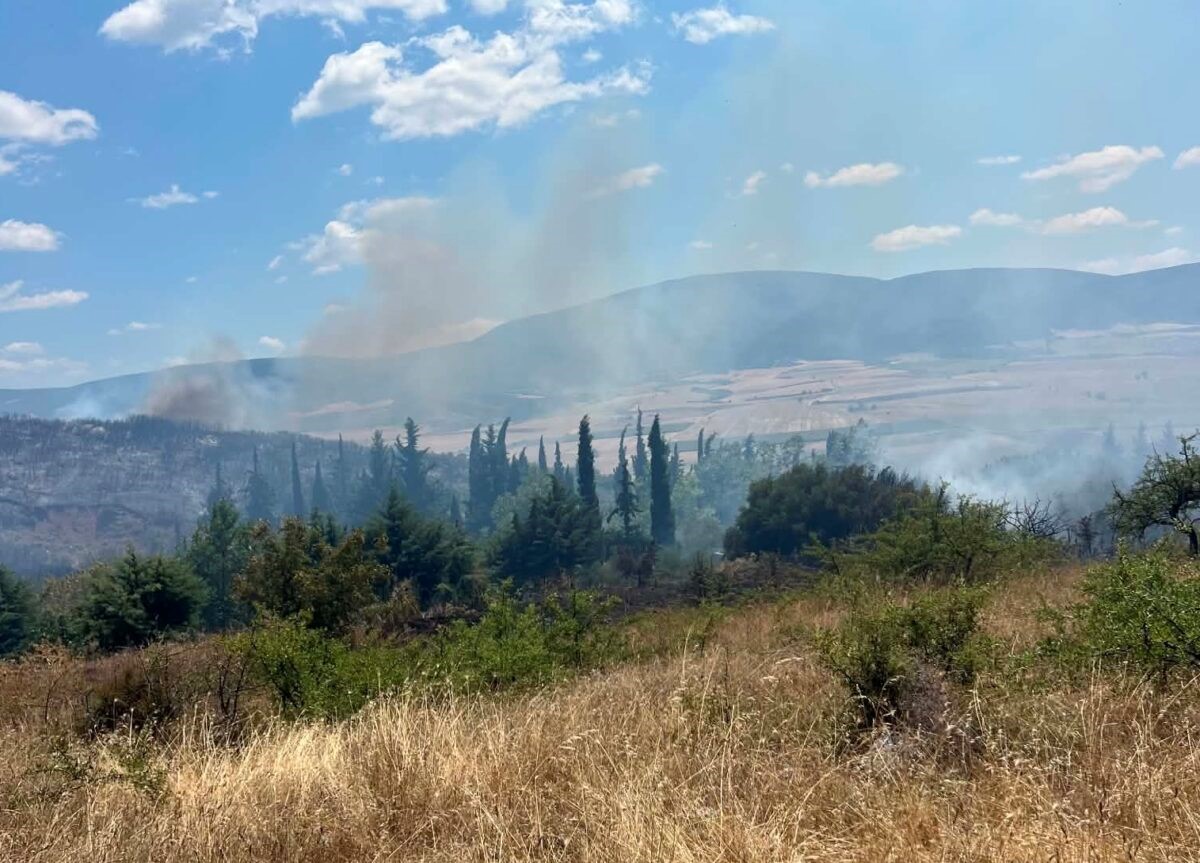 Χωρίς ενεργό μέτωπο η φωτιά στη θέση «Κυρά»